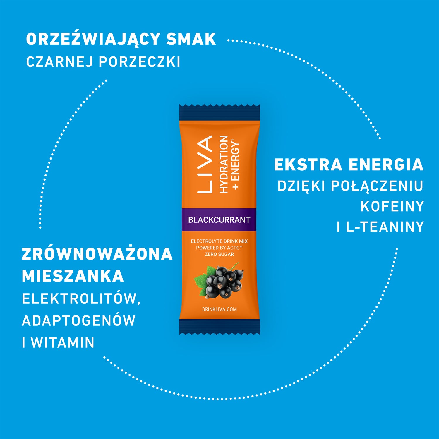 HYDRATION + ENERGY - Czarna porzeczka
